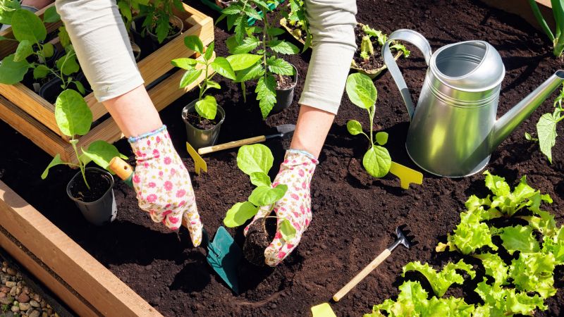 Home Gardening Service in Honolulu, HI